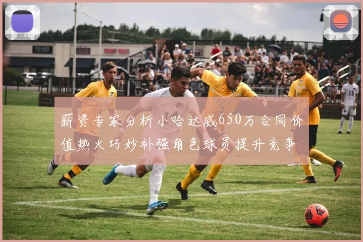薪资专家分析小哈达威650万合同价值热火巧妙补强角色球员提升竞争力