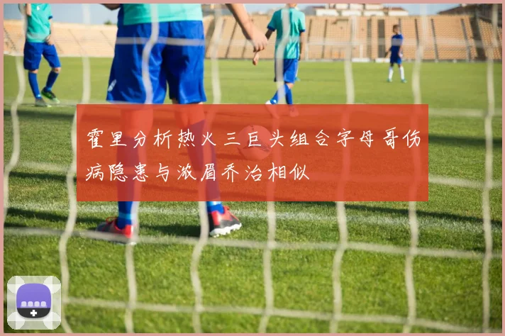 霍里分析热火三巨头组合字母哥伤病隐患与浓眉乔治相似