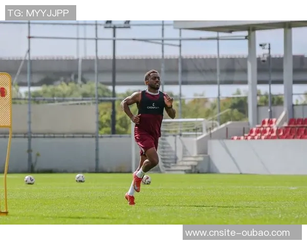 加布里埃尔重返海港签约两年有望赶上亚冠报名或将穿上11号战袍 加布里埃尔重返海港签约两年有望赶上亚冠报名或将穿上11号战袍